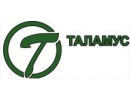  talamus